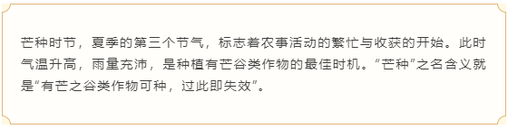 银河app手机版下载APP下载-银河app手机版下载2026最新版